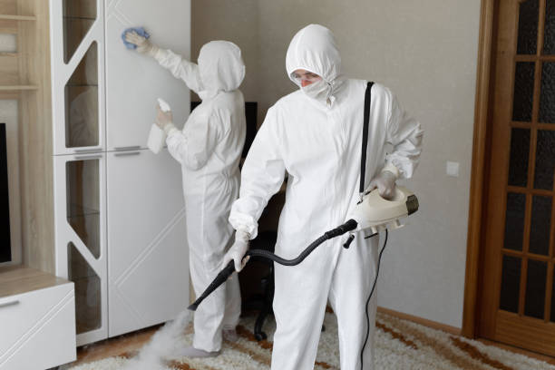 Best Professional Mold Removal  in USA